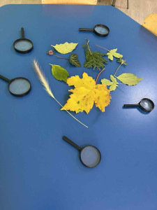 24b18d5b-73cd-4ccf-a28a-8f5908d7e059