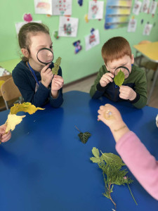 9cc4da16-1171-442f-b1a6-80b241bf7541