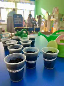 b5ec667a-63c8-4db6-b73a-701971751e9d