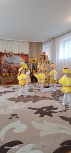 photo_2025-11-02_21-17-37