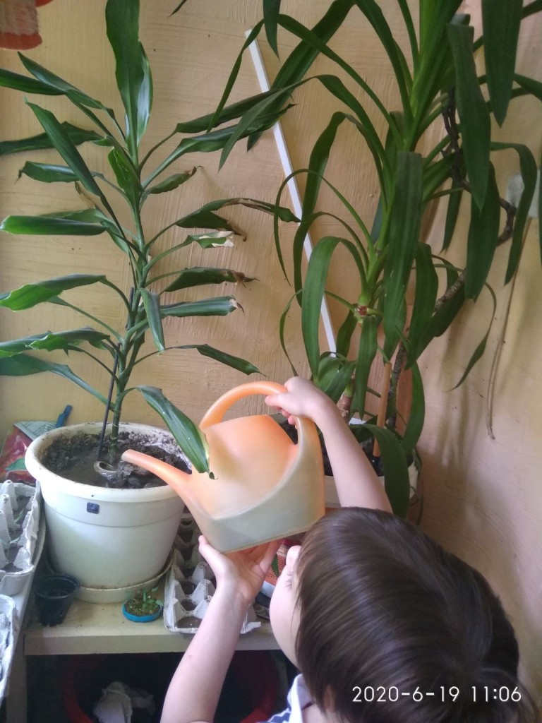 IMG-005edf624da4f8e554657f6db5fffade-V