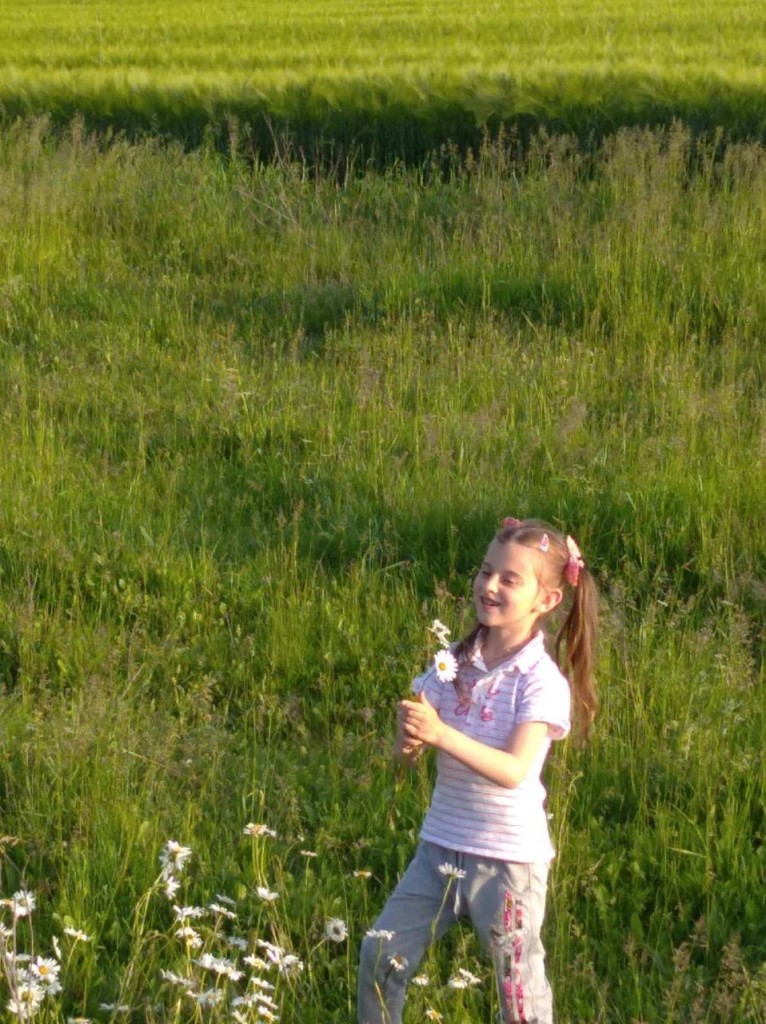 IMG-c0aac9a30d9cc3330f8fde64e46d44f0-V