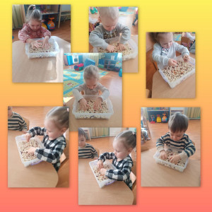 photo_2026-01-22_11-18-46