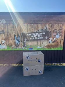 photo_2026-03-24_09-45-35